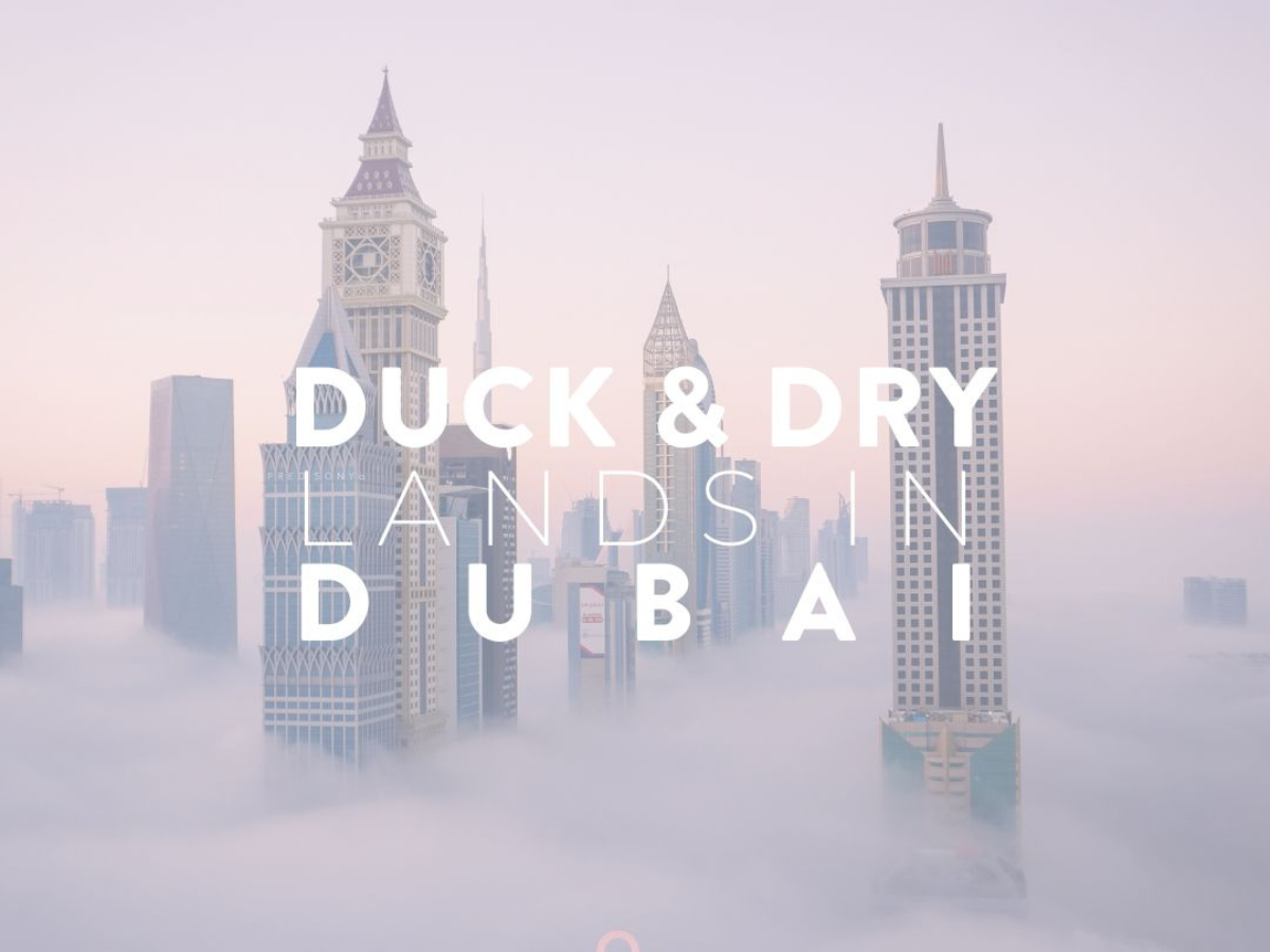 Duck & Dry Lands In The UAE