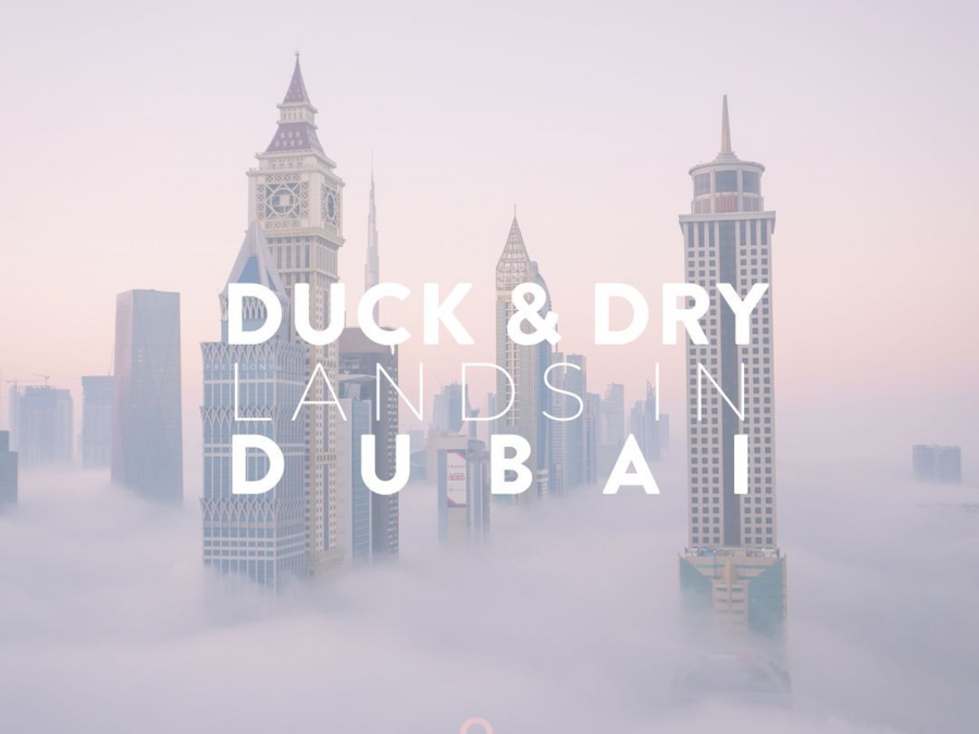 Duck & Dry Lands In The UAE