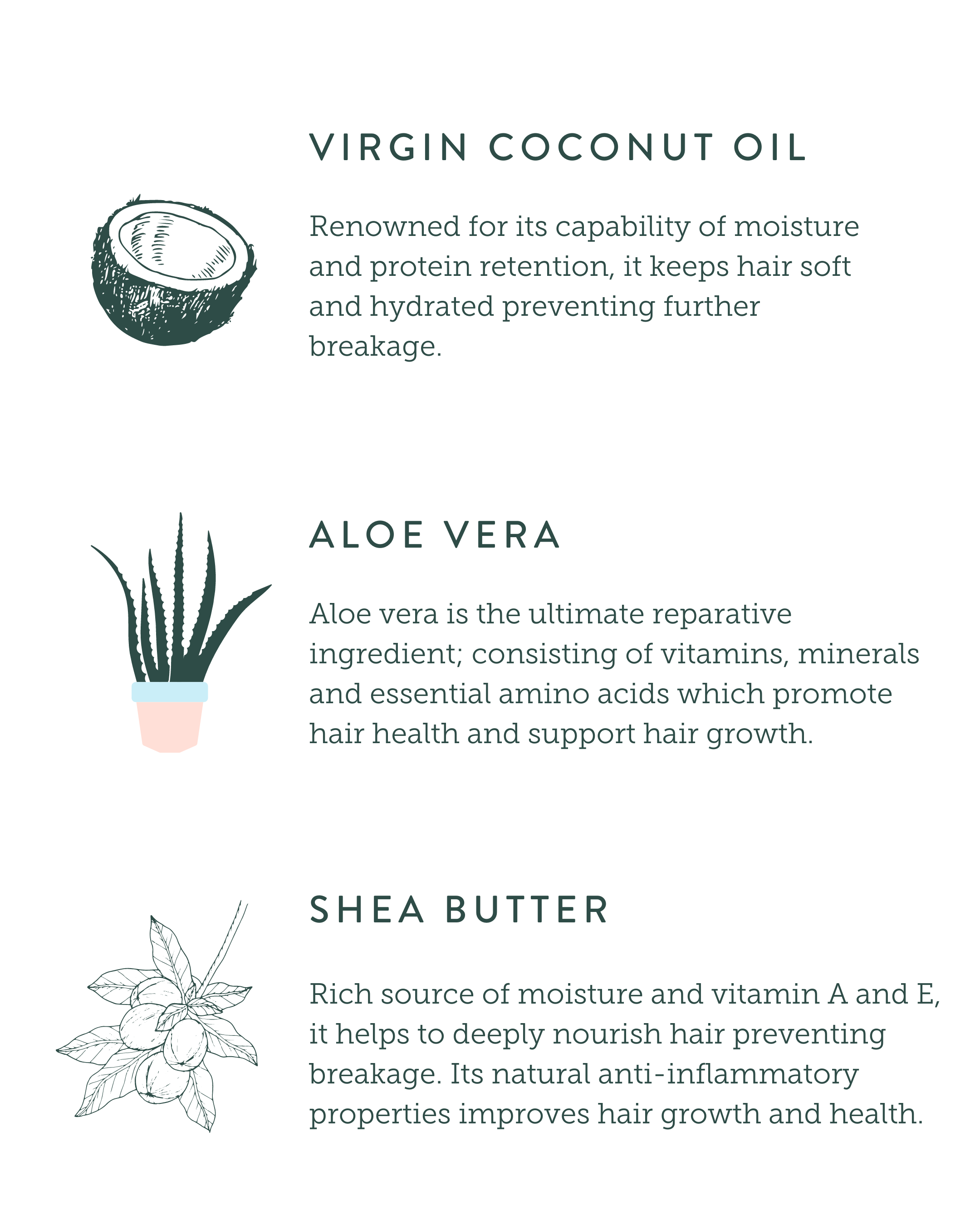 DUCK & DRY FULL FEATHERS NOURISHING SHAMPOO FOR THICK, COARSE HAIR, HYDRATING, NOURISHING, MANAGABLE, FRIZZ CONTROL INGREDIENTS